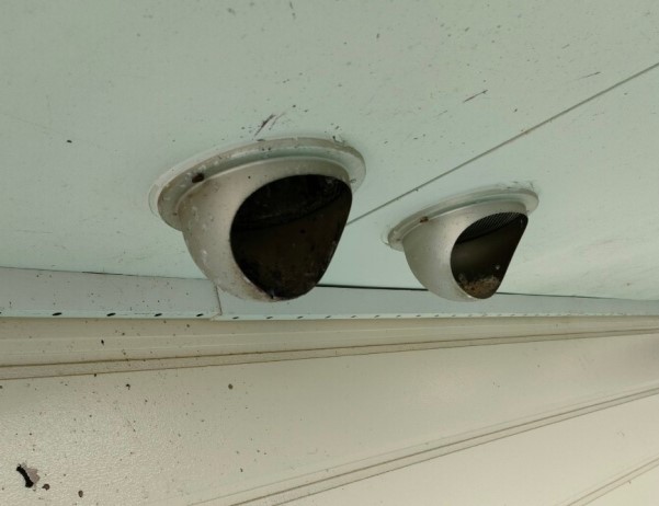 鳥の巣を作られた通気口　軒天に付いている